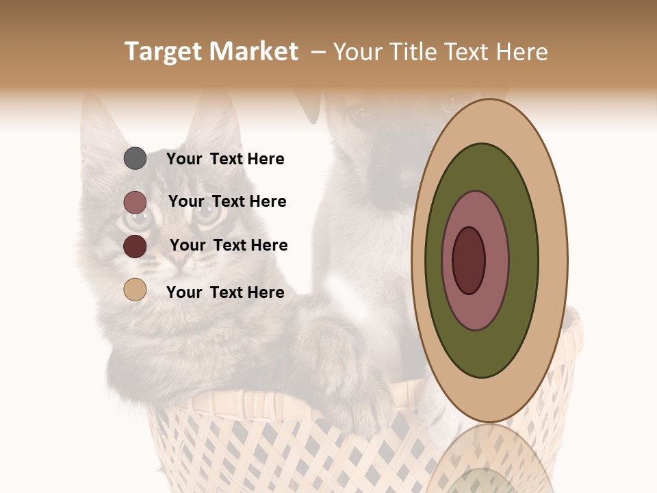 Affection Touching Youth PowerPoint Template