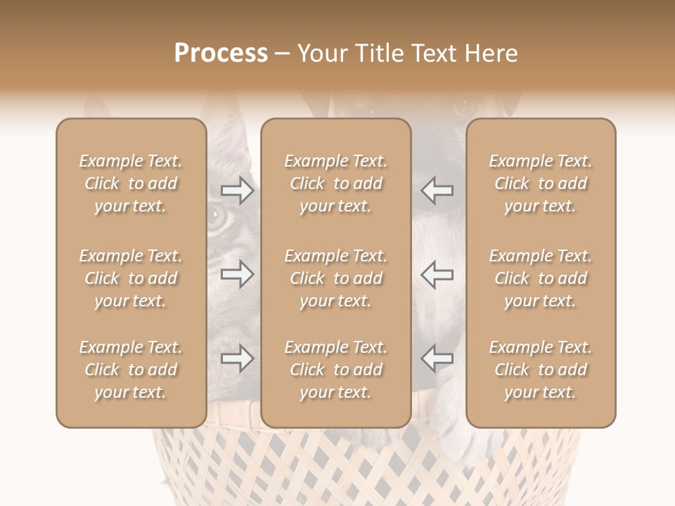 Affection Touching Youth PowerPoint Template