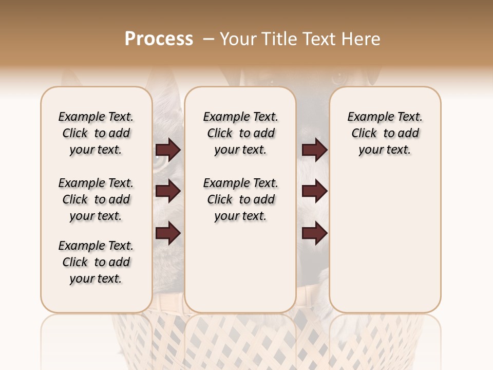 Affection Touching Youth PowerPoint Template