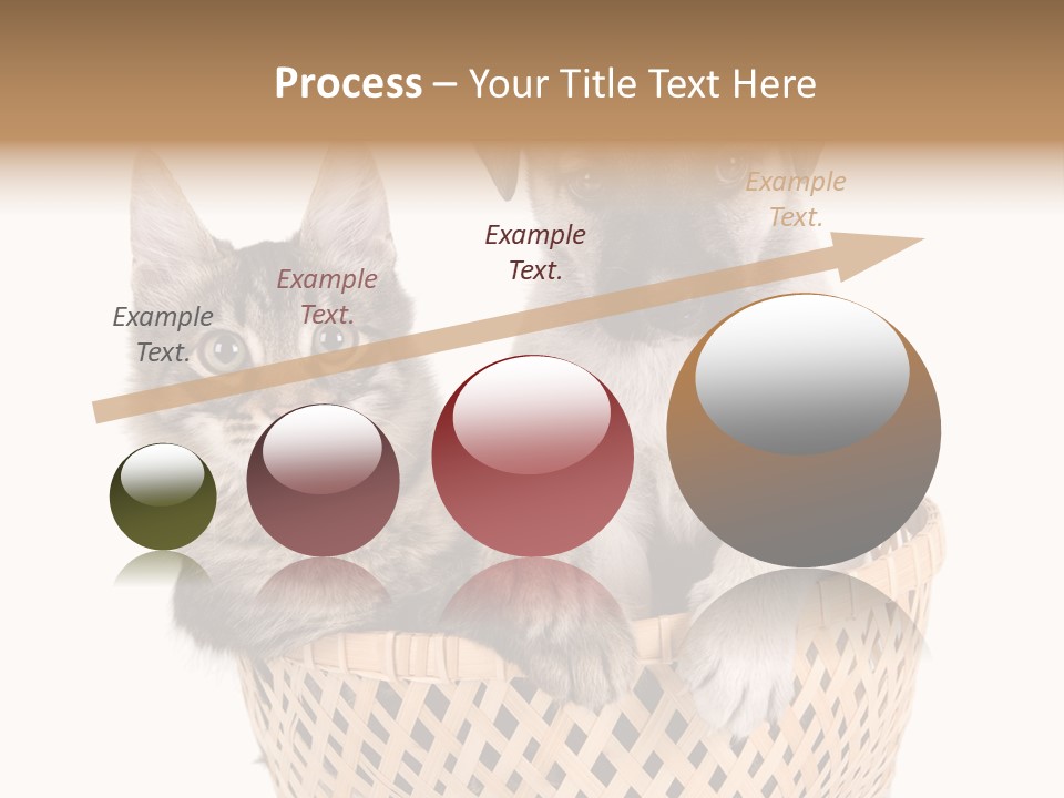 Affection Touching Youth PowerPoint Template