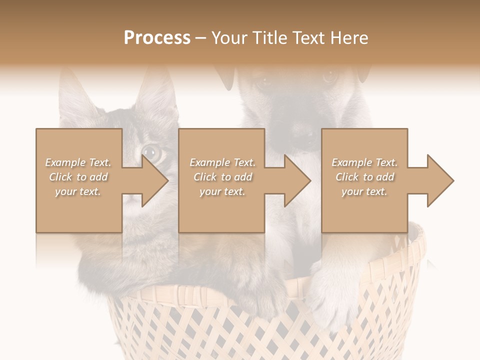 Affection Touching Youth PowerPoint Template