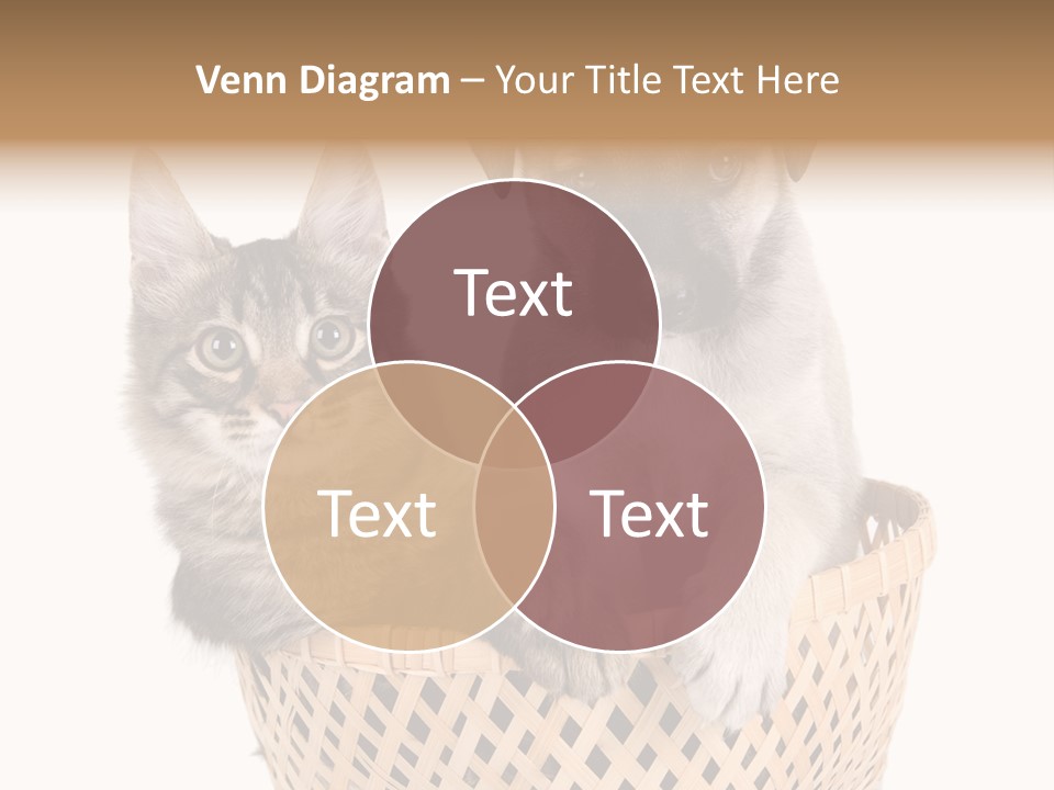 Affection Touching Youth PowerPoint Template