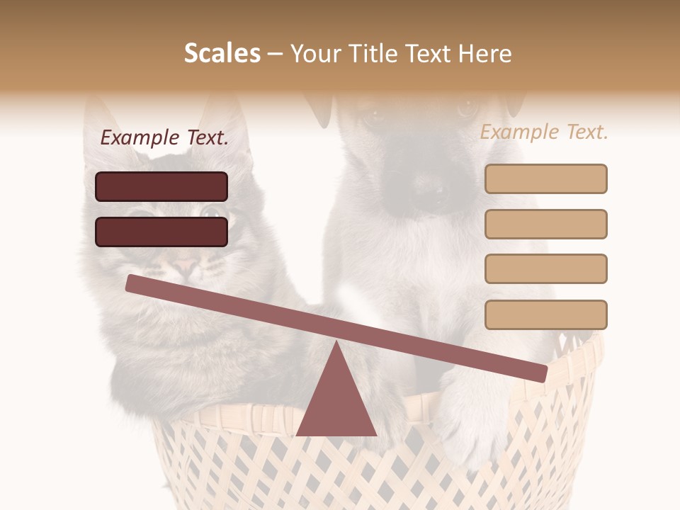 Affection Touching Youth PowerPoint Template