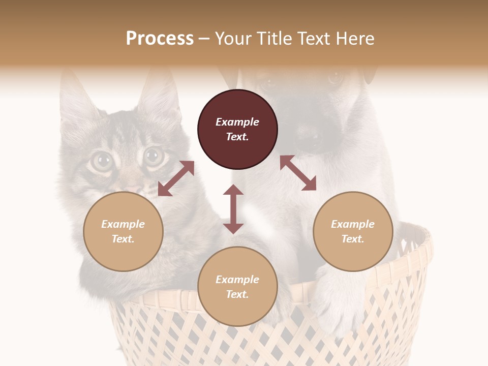 Affection Touching Youth PowerPoint Template