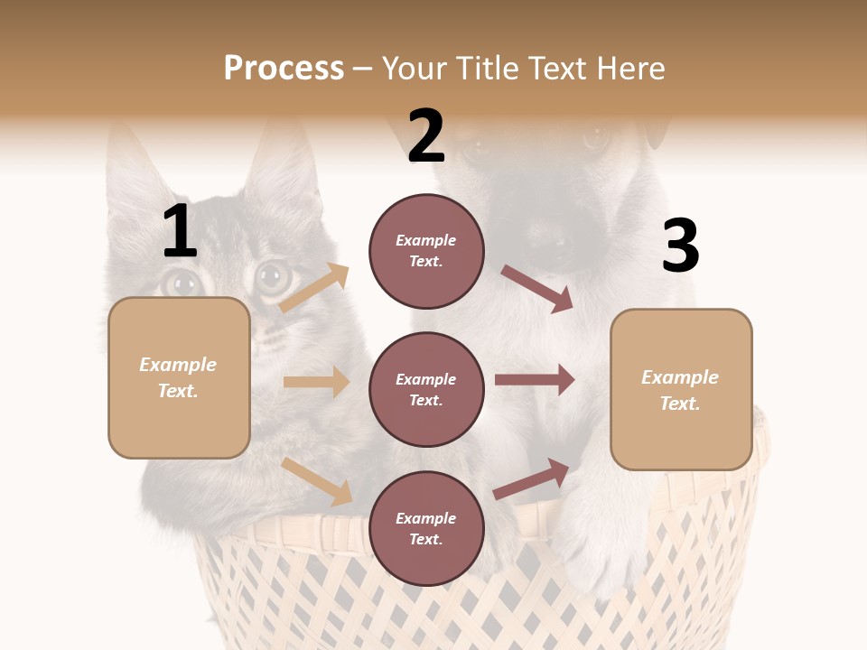 Affection Touching Youth PowerPoint Template