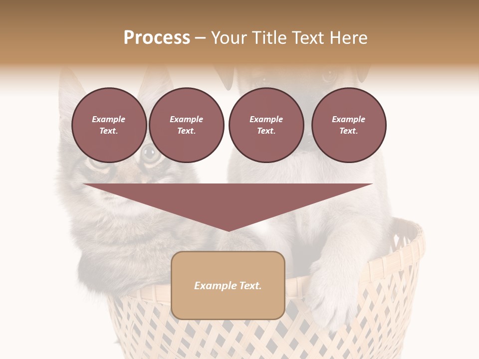 Affection Touching Youth PowerPoint Template