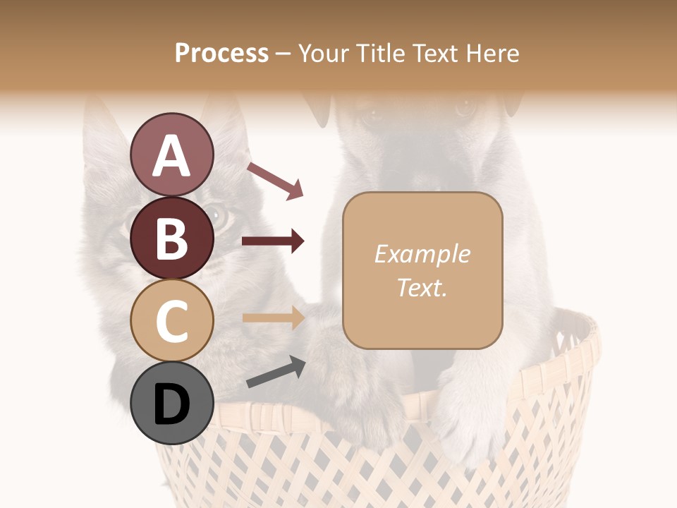 Affection Touching Youth PowerPoint Template