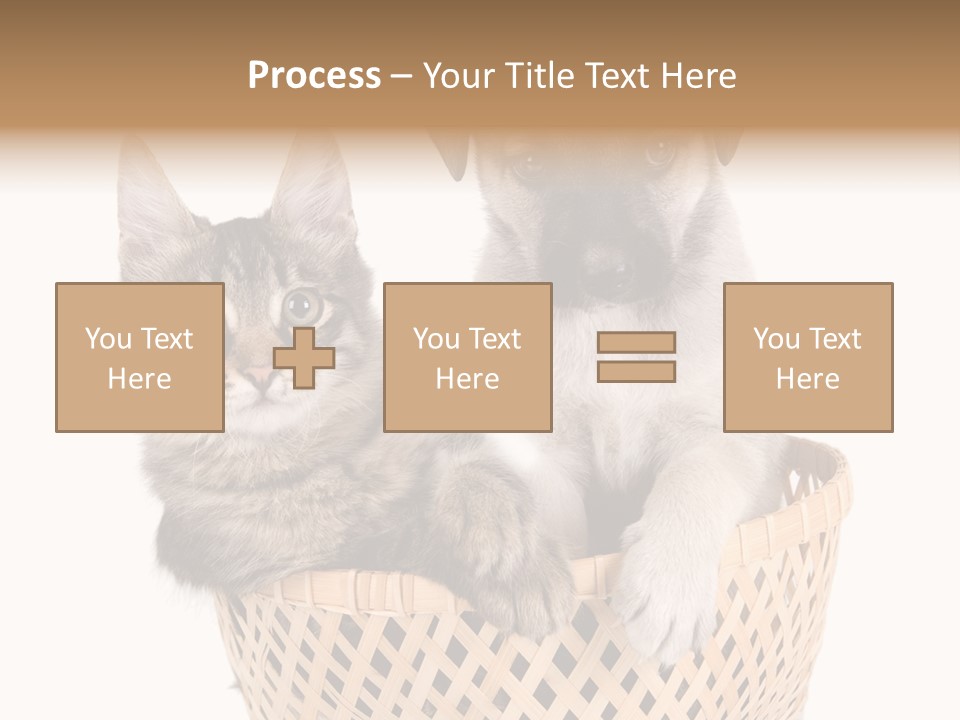 Affection Touching Youth PowerPoint Template