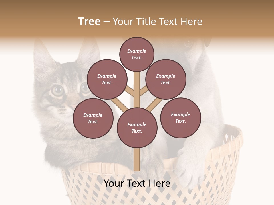 Affection Touching Youth PowerPoint Template