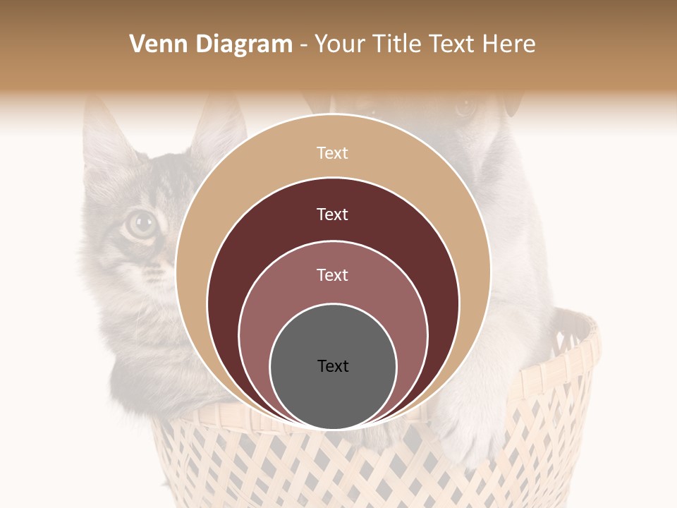 Affection Touching Youth PowerPoint Template