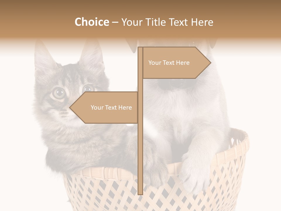 Affection Touching Youth PowerPoint Template