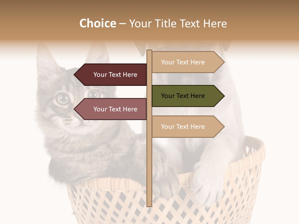 Affection Touching Youth PowerPoint Template