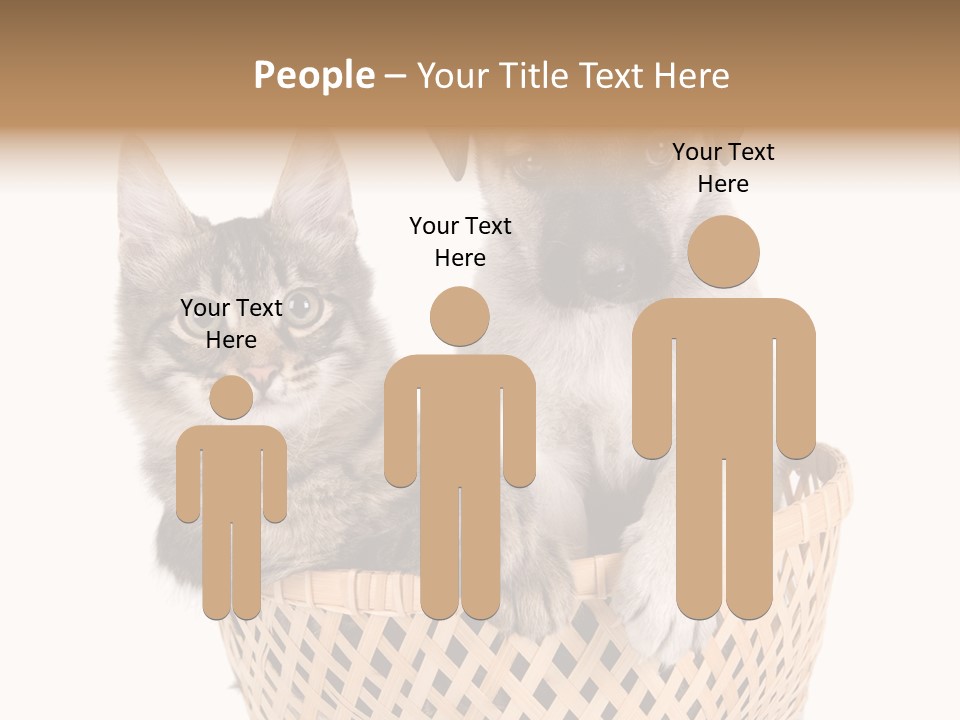 Affection Touching Youth PowerPoint Template