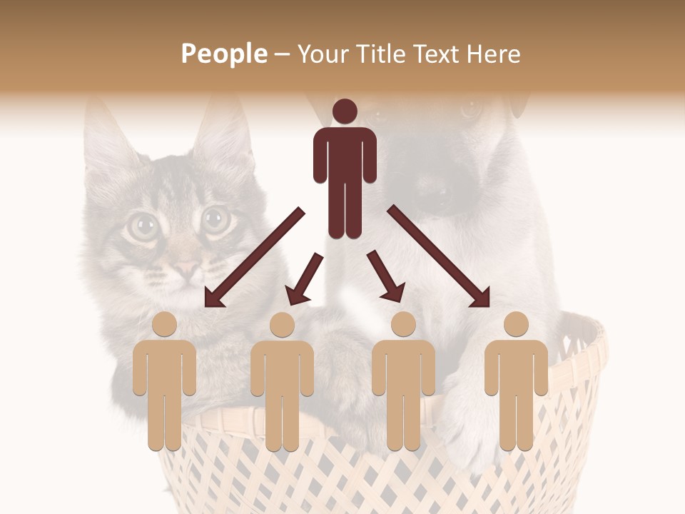 Affection Touching Youth PowerPoint Template