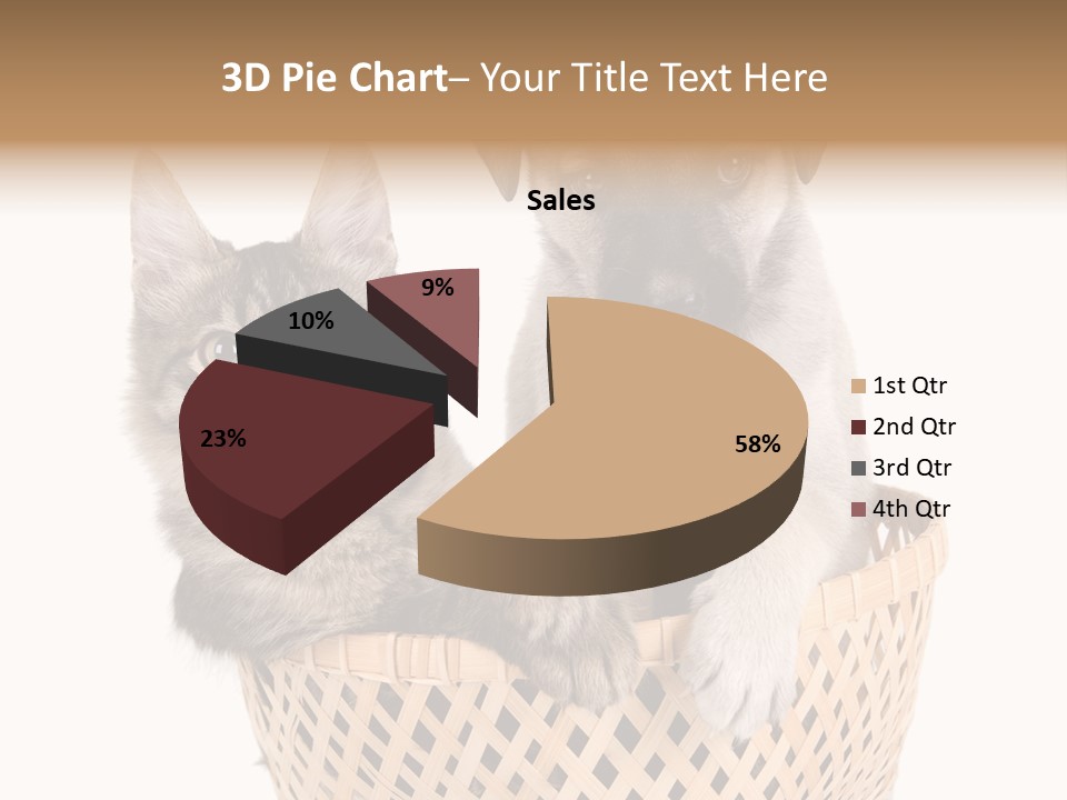 Affection Touching Youth PowerPoint Template