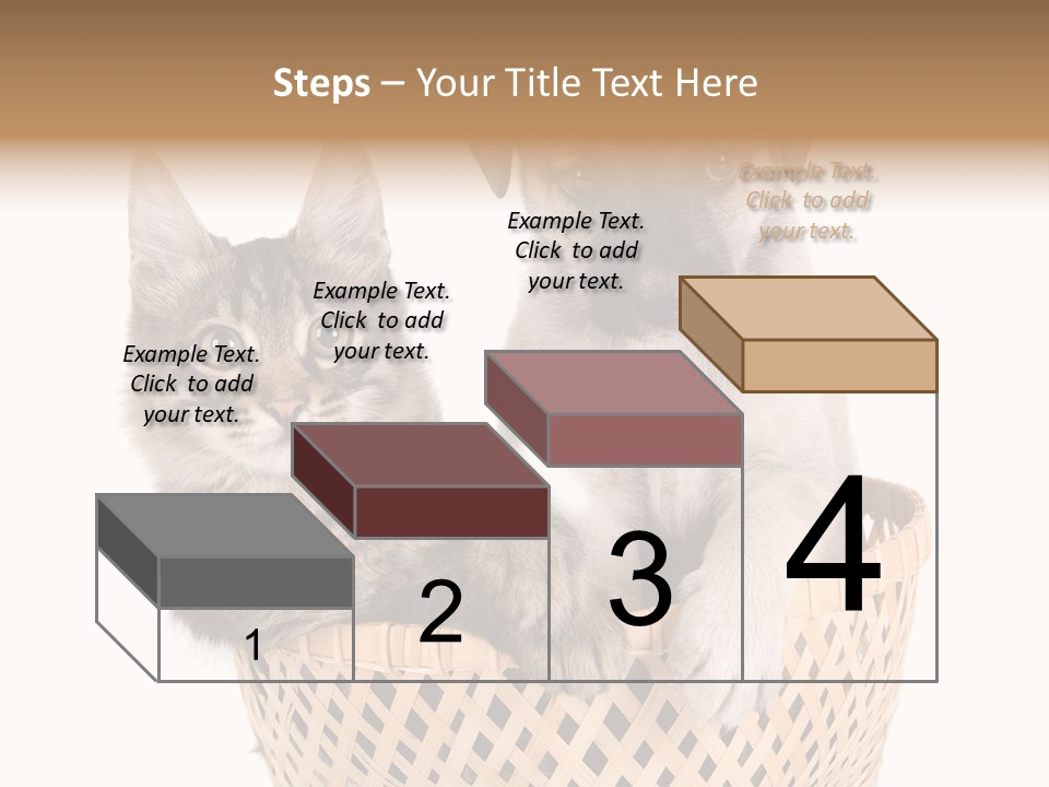 Affection Touching Youth PowerPoint Template