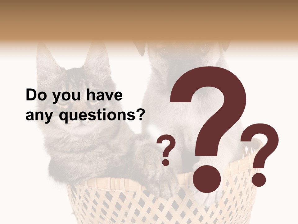 Affection Touching Youth PowerPoint Template