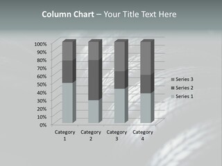 Stability New Selective Focus PowerPoint Template