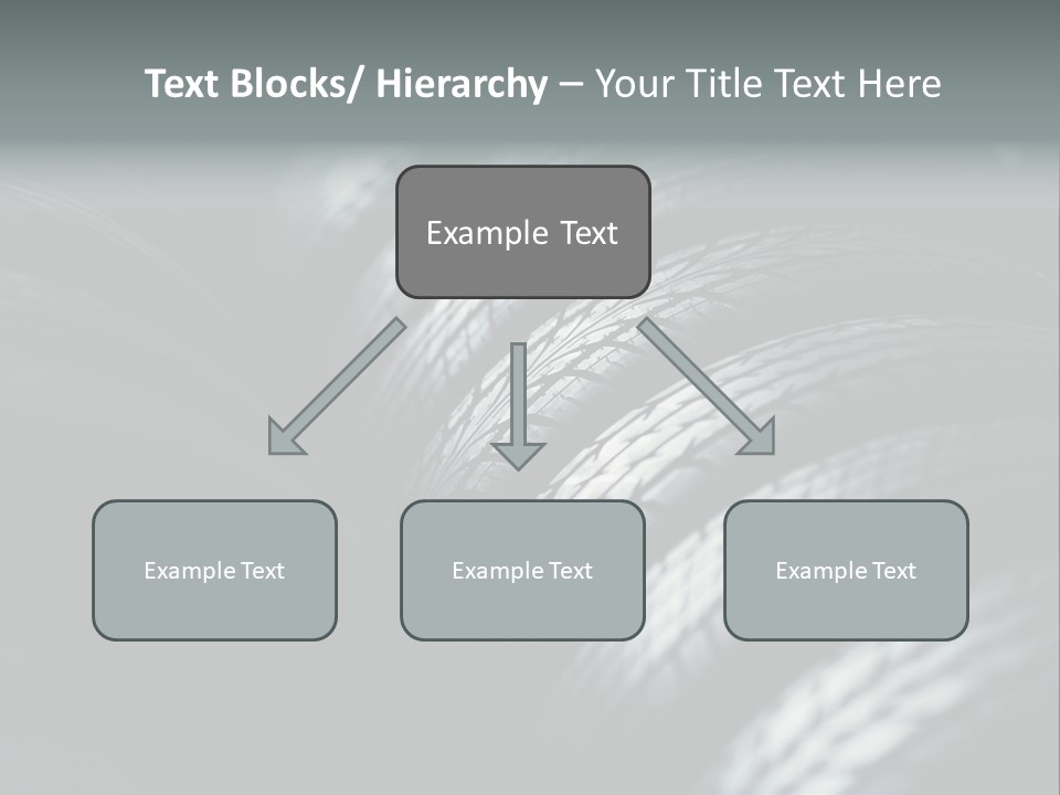 Stability New Selective Focus PowerPoint Template