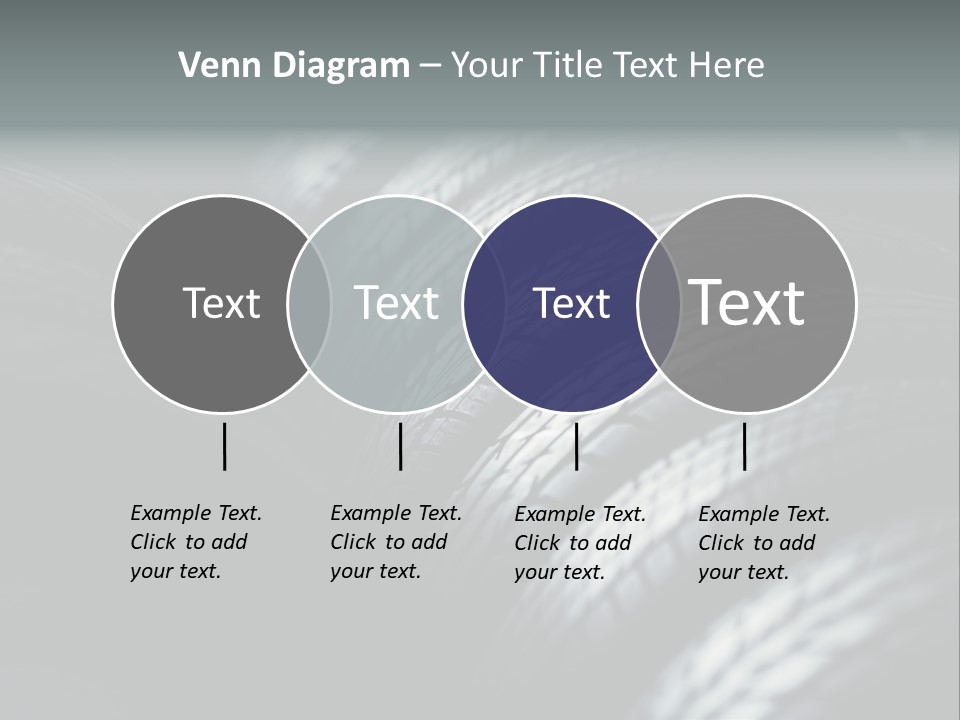Stability New Selective Focus PowerPoint Template