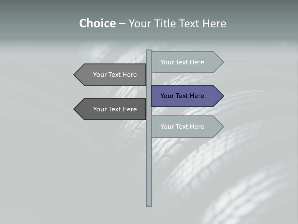 Stability New Selective Focus PowerPoint Template