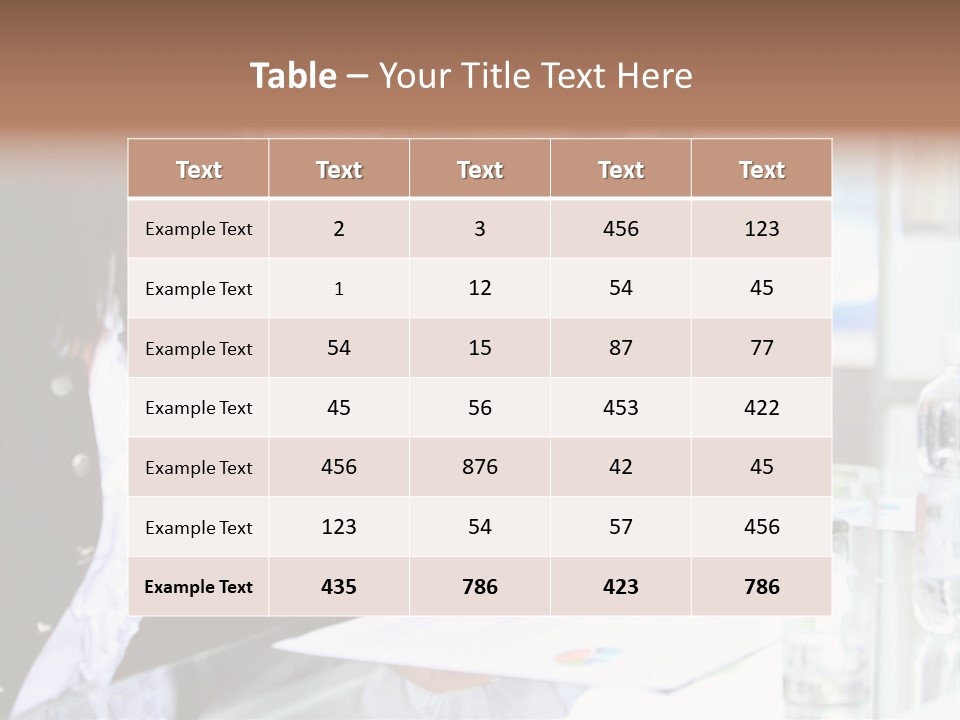 Successful  Meeting PowerPoint Template