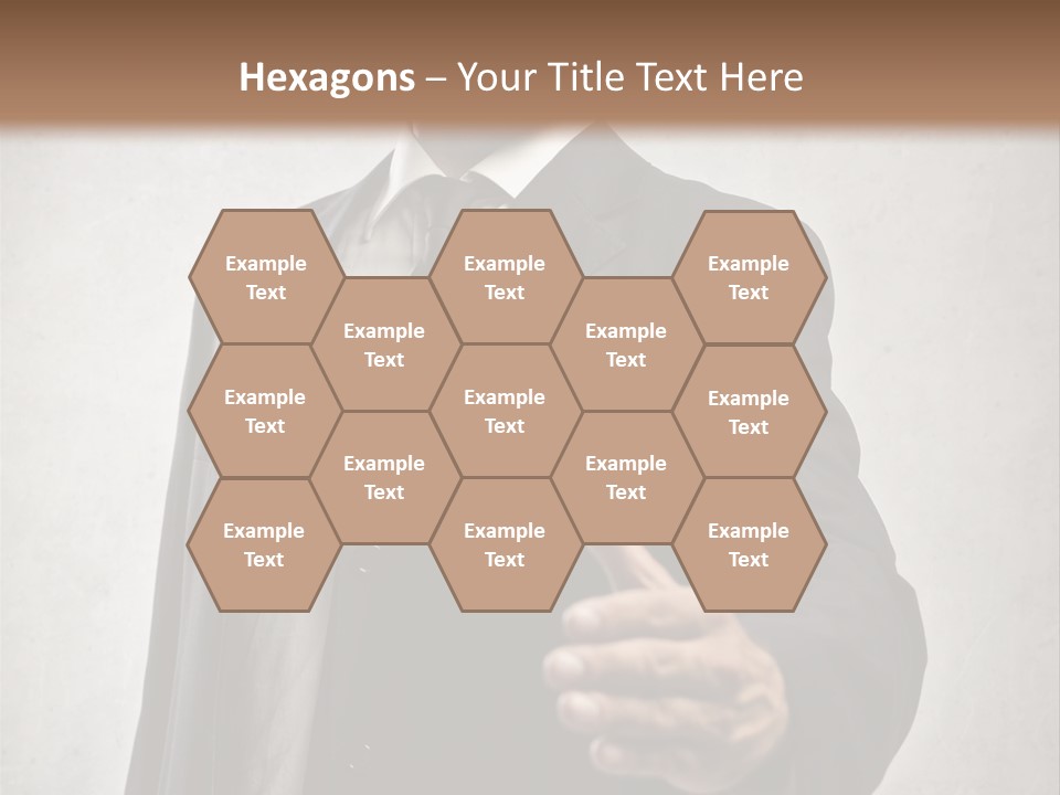 Sly  Corporate PowerPoint Template