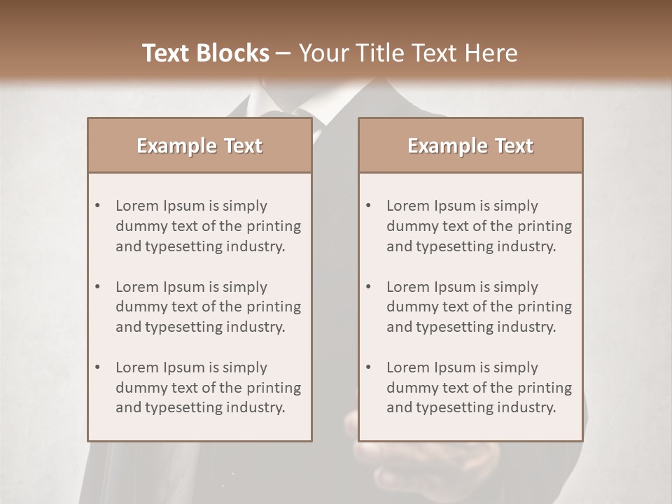 Sly  Corporate PowerPoint Template