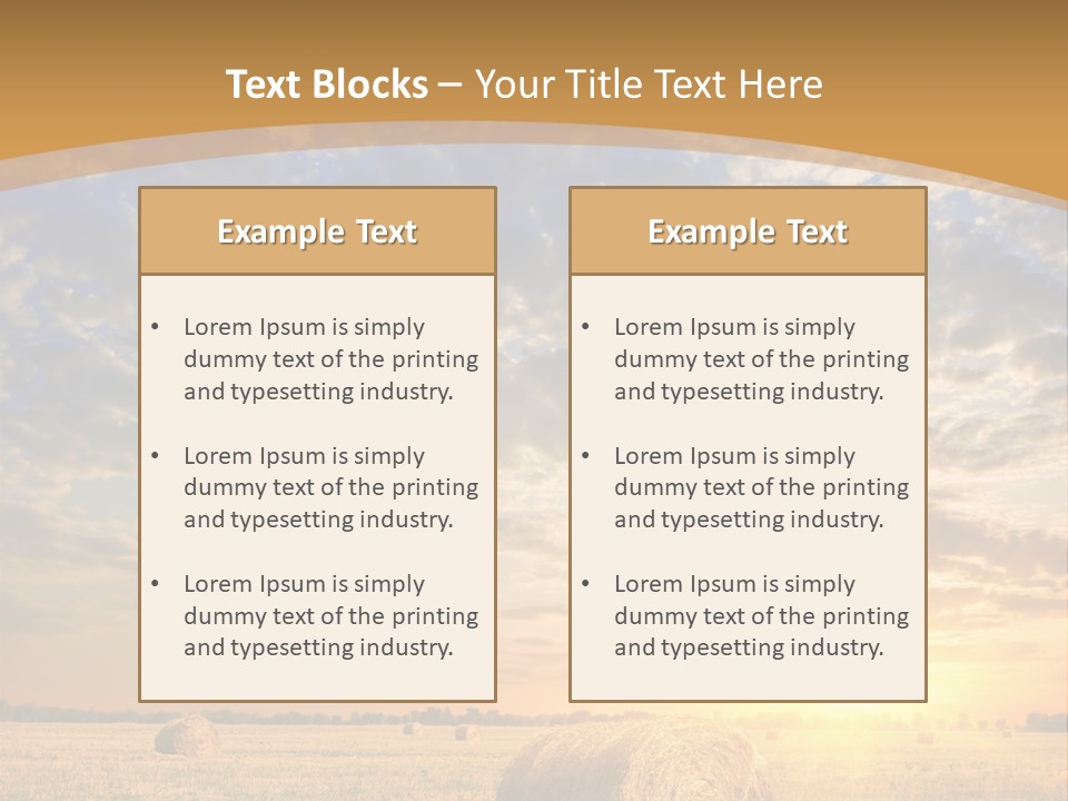 Sunshine Sun Meadow PowerPoint Template