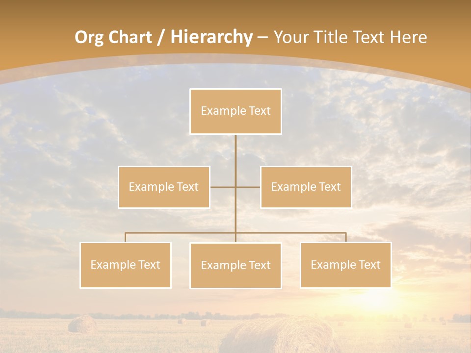 Sunshine Sun Meadow PowerPoint Template