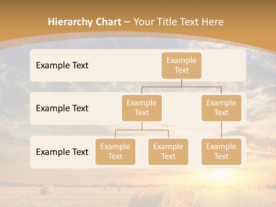 Sunshine Sun Meadow PowerPoint Template