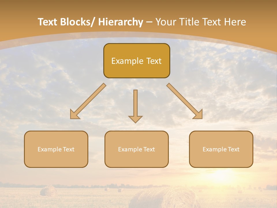 Sunshine Sun Meadow PowerPoint Template