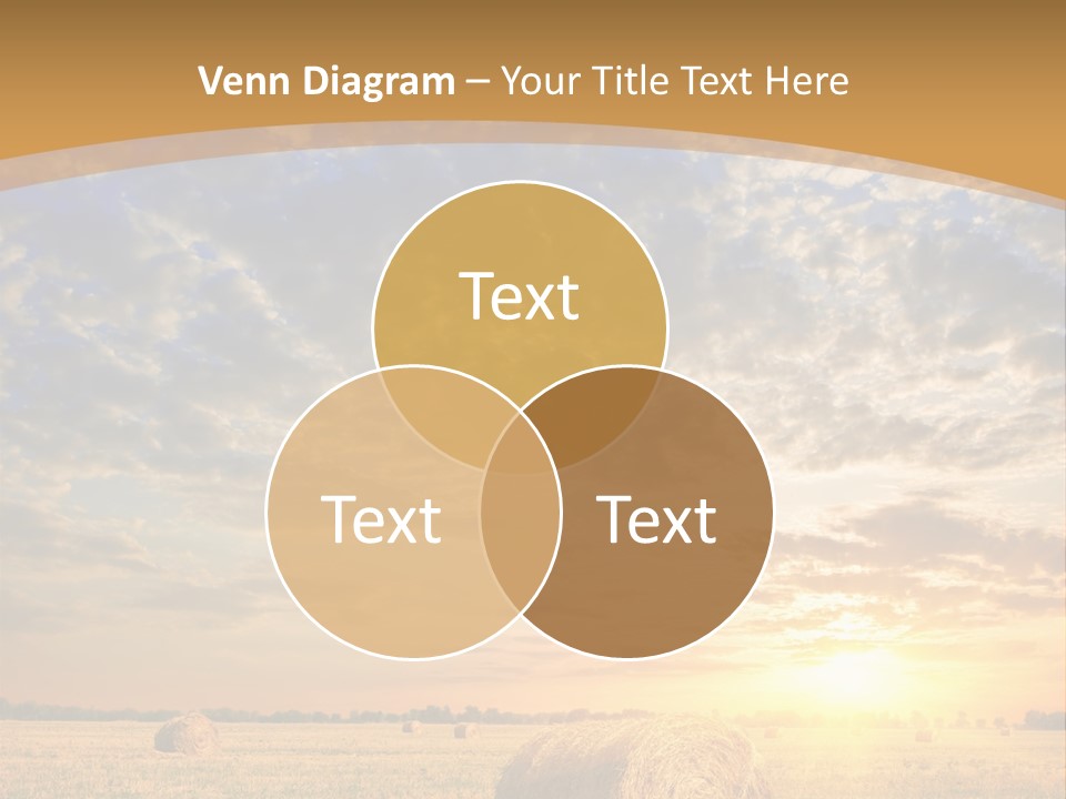 Sunshine Sun Meadow PowerPoint Template