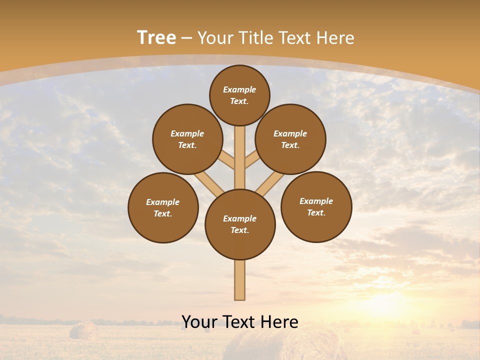 Sunshine Sun Meadow PowerPoint Template