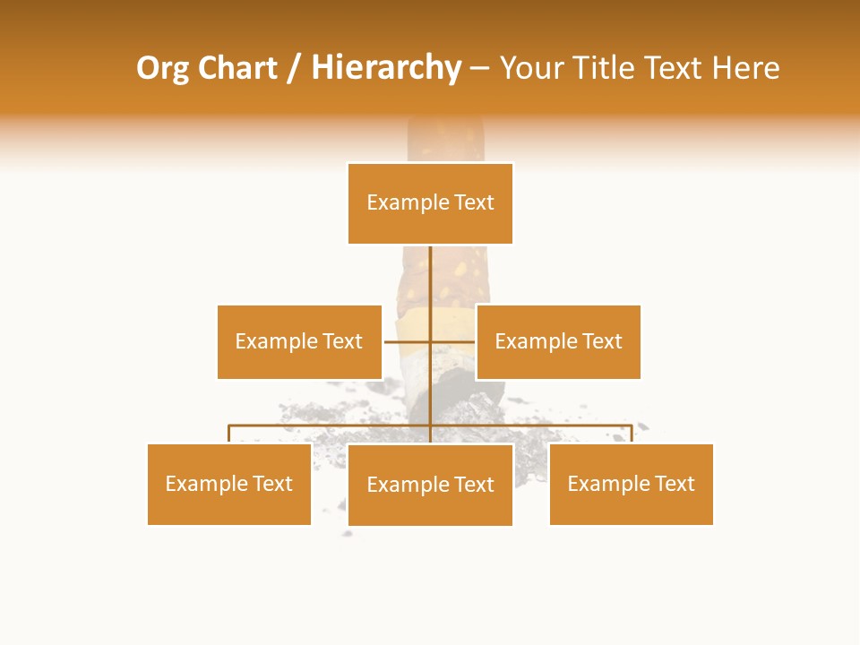 Cancer Ash Photography PowerPoint Template