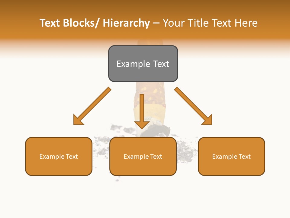 Cancer Ash Photography PowerPoint Template