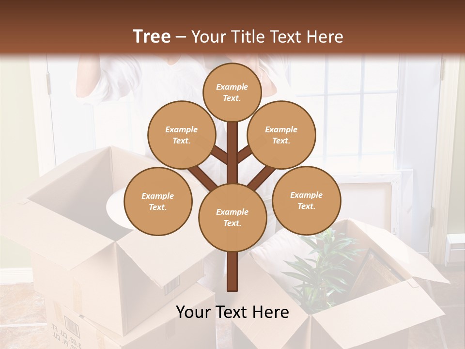 Romance Indoors  PowerPoint Template