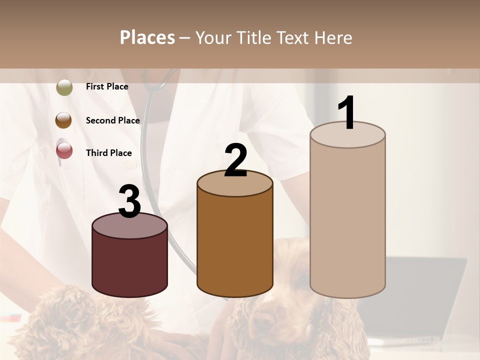 Privacy Palpate Laugh PowerPoint Template