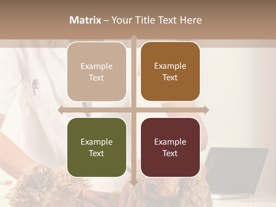 Privacy Palpate Laugh PowerPoint Template