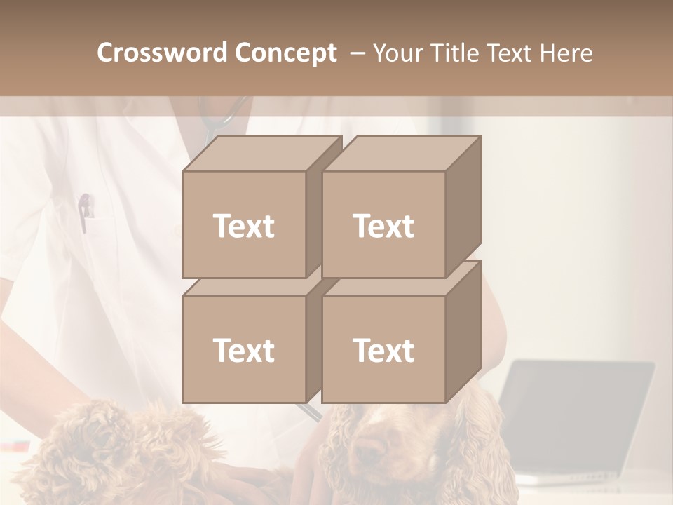 Privacy Palpate Laugh PowerPoint Template