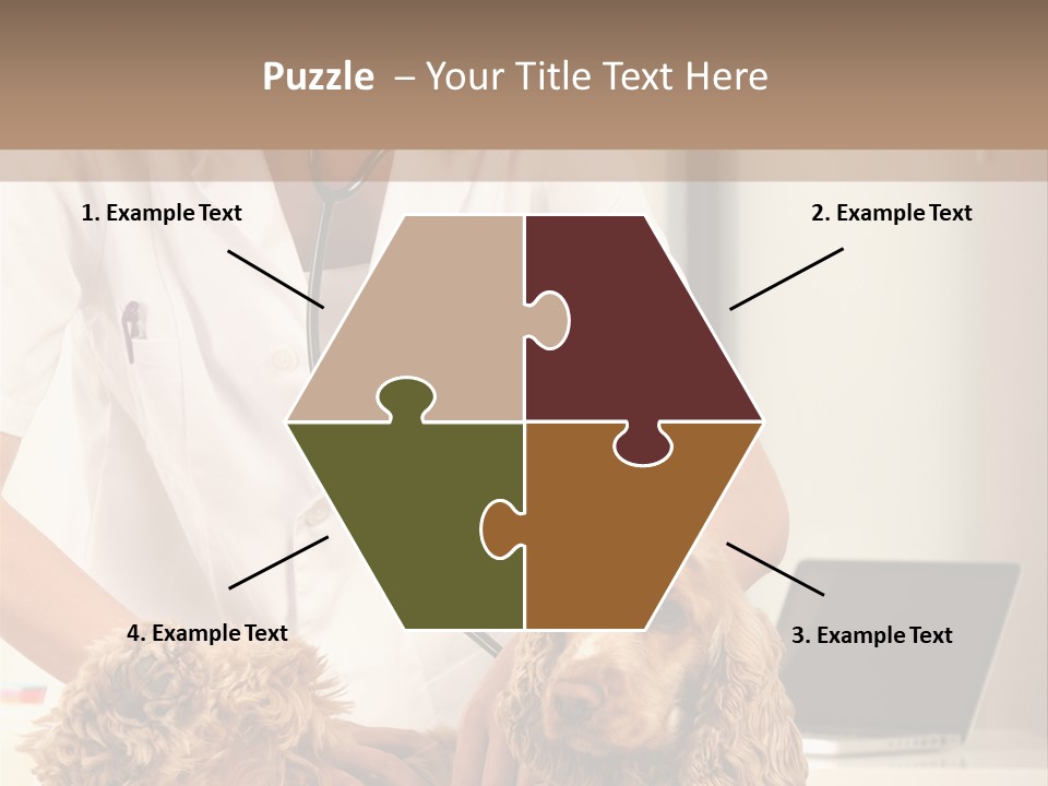 Privacy Palpate Laugh PowerPoint Template