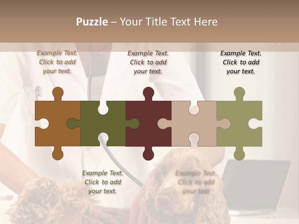 Privacy Palpate Laugh PowerPoint Template