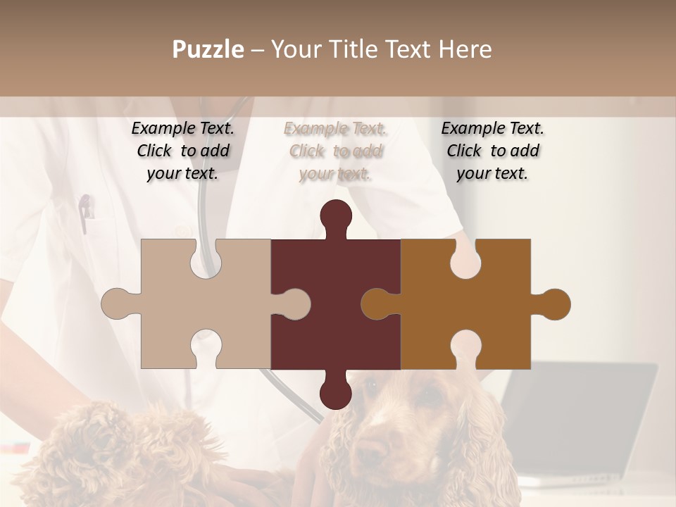 Privacy Palpate Laugh PowerPoint Template