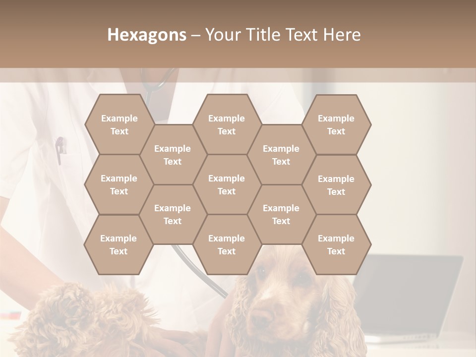 Privacy Palpate Laugh PowerPoint Template