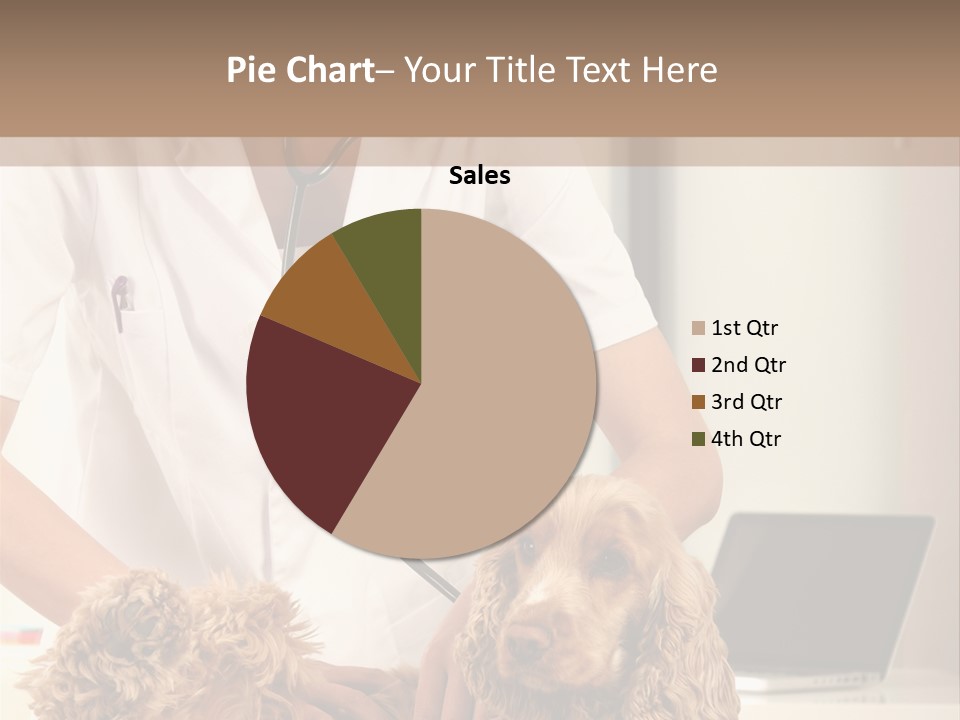 Privacy Palpate Laugh PowerPoint Template