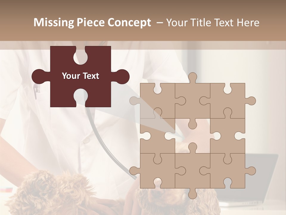 Privacy Palpate Laugh PowerPoint Template