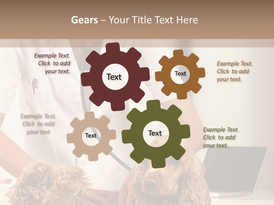 Privacy Palpate Laugh PowerPoint Template