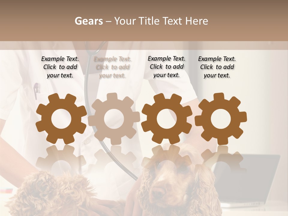 Privacy Palpate Laugh PowerPoint Template