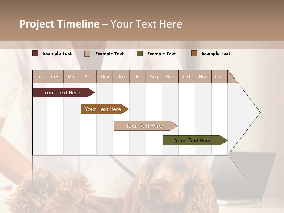 Privacy Palpate Laugh PowerPoint Template