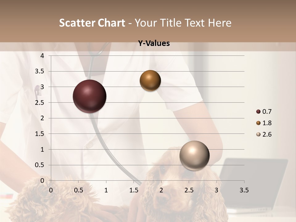 Privacy Palpate Laugh PowerPoint Template